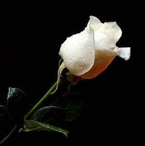 Meet your Posher, Kaitlyn